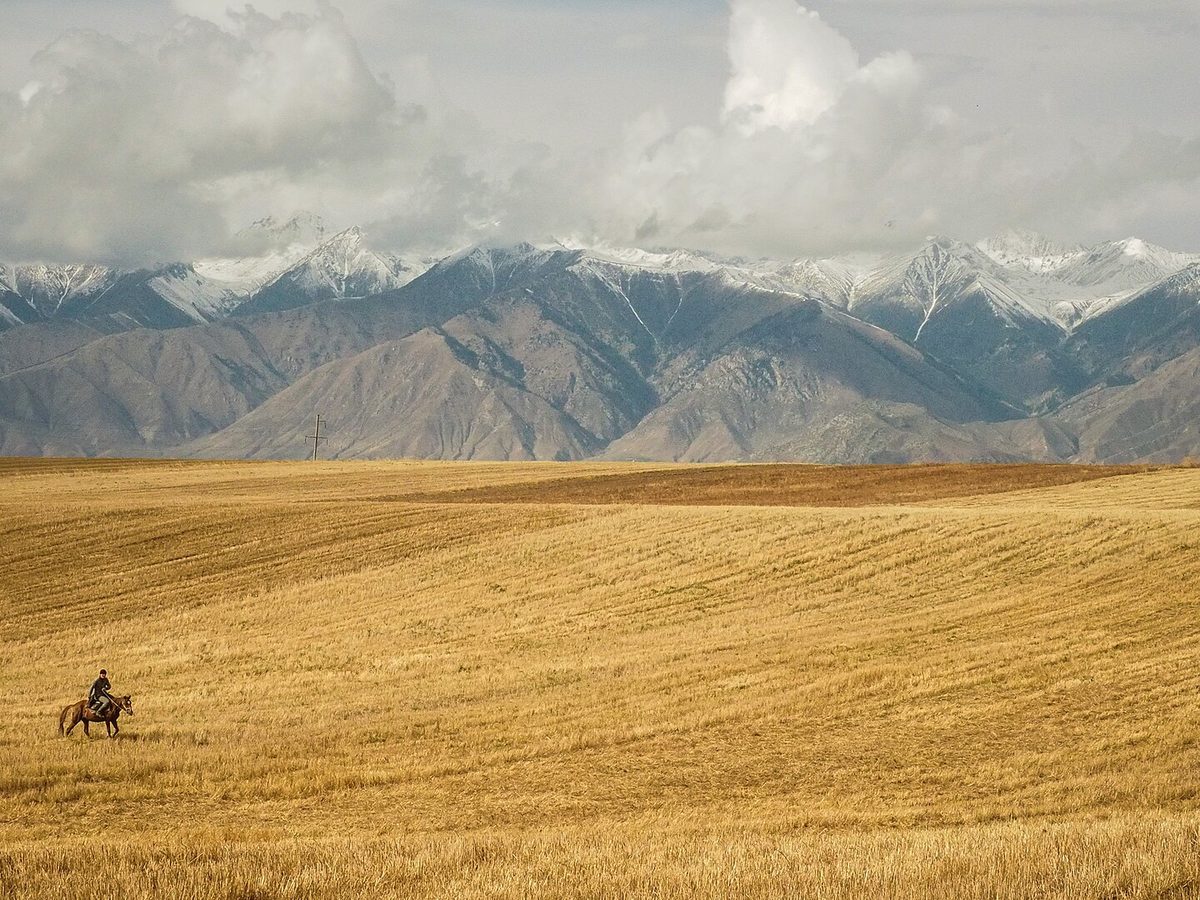 Riding across high summer pasture